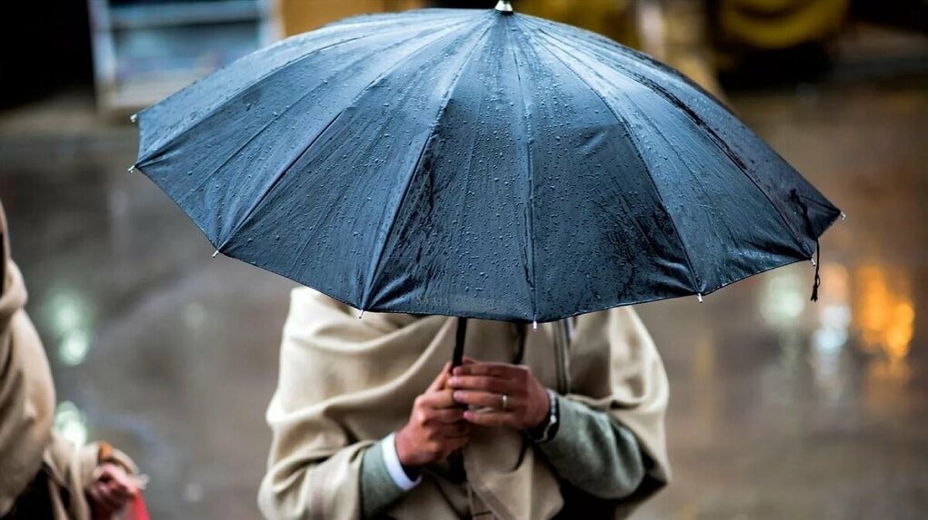 Фото: www.gorodche.ru