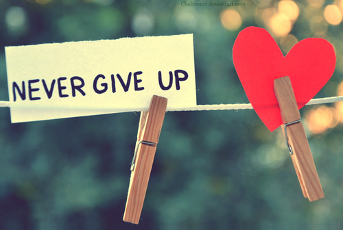 Never GIVE UP - никогда не сдавайся      
 Источник фото: https://clck.ru/XcLJ6