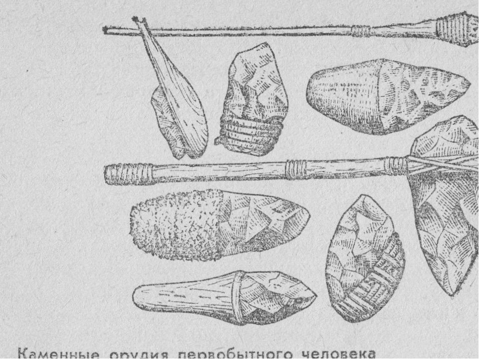 Орудие труда обработанное методом унифас. Орудия труда боспорян. Орудия труда первобытного человека. Древние орудия труда. Древние люди орудия труда.