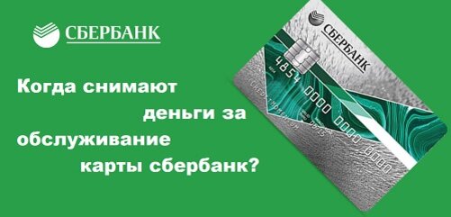 Можно ли давать номер карты? Какие данные банковской карты нельзя сообщать никому