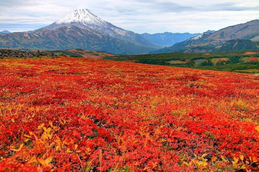 Осенний Петропавловск Камчатский