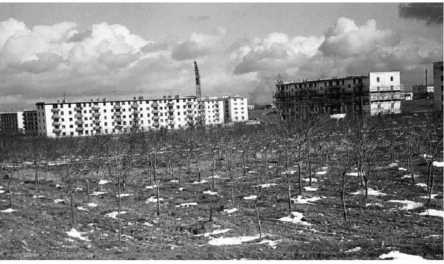 60-е года прошлого века