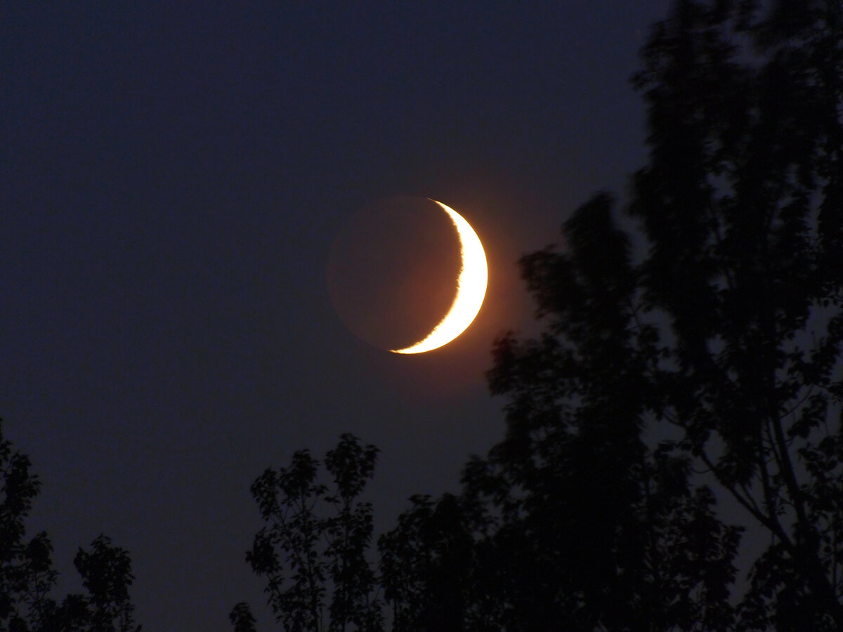 Растущая луна. Обряды. Ритуалы. Эзотерика.