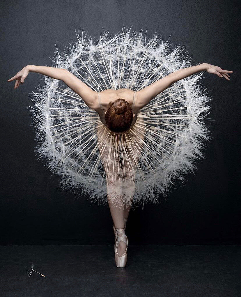 Фото: @lailannah @robdigphot