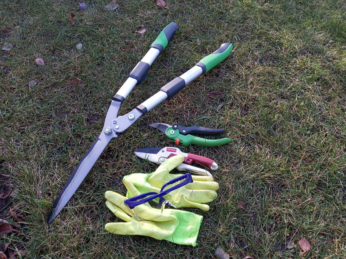 Для работы нам понадобятся...