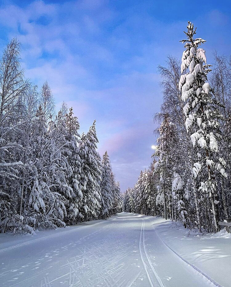 Фото пользователя Инстаграм @natali_kolomiec