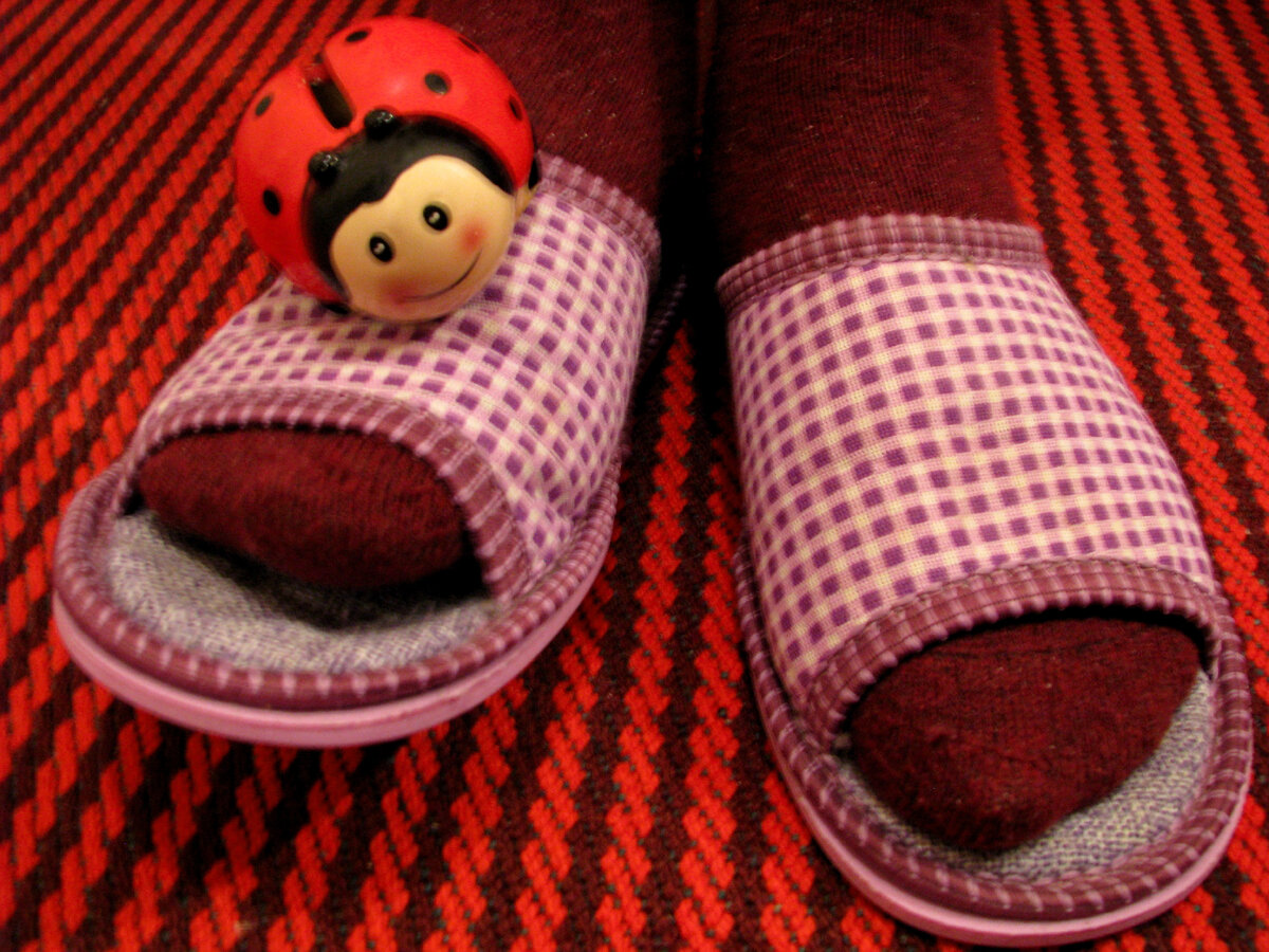 Так тапочки выглядели году эдак в 18-м. Фото автора.