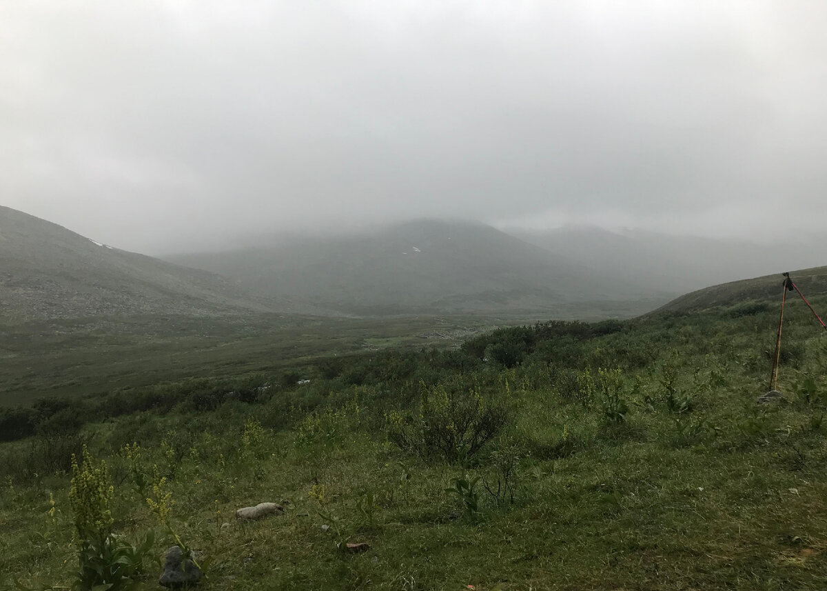 Вид из палатки 2 августа 2019