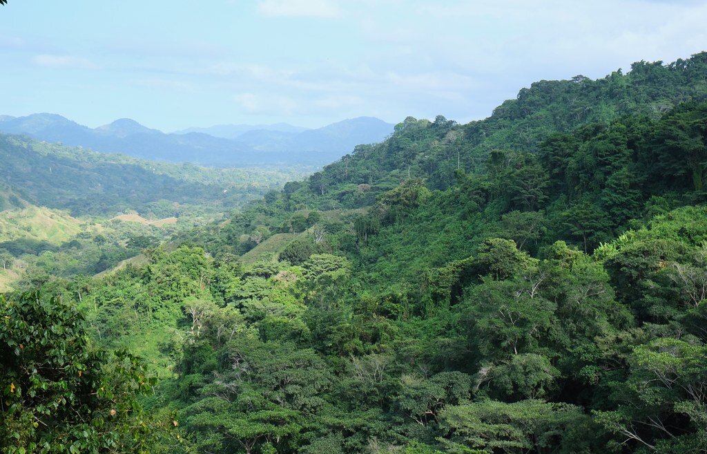 Затерянный город Колумбия. Джунгли Колумбии. Дикие леса Венесуэлы. Перекресток в джунглях. Дикий 1 час