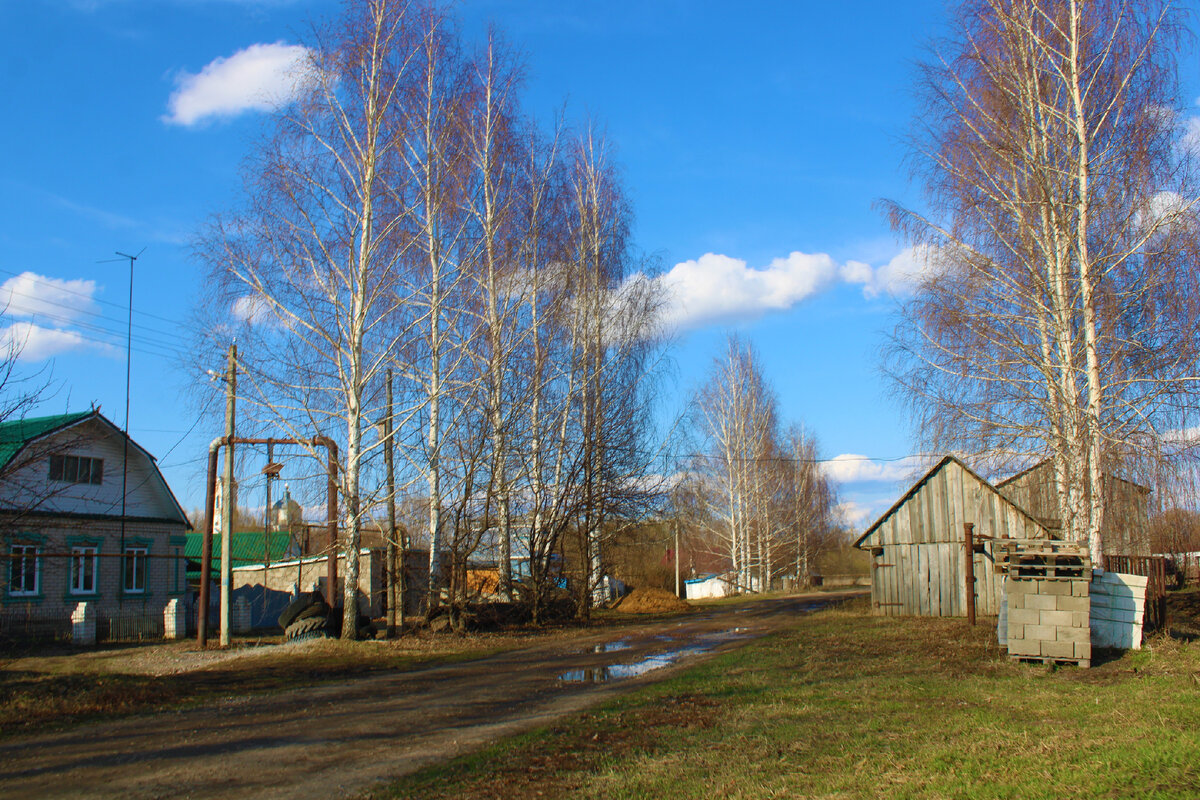 Богородское. Русское Нижегородское село, в котором много старинных домов,  но многие в плачевном состоянии, как и храм | Под зонтиком | Дзен