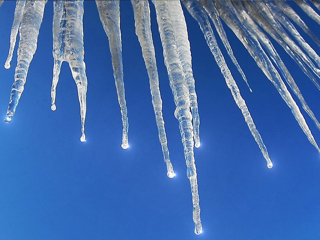 Негласный символ Петербурга