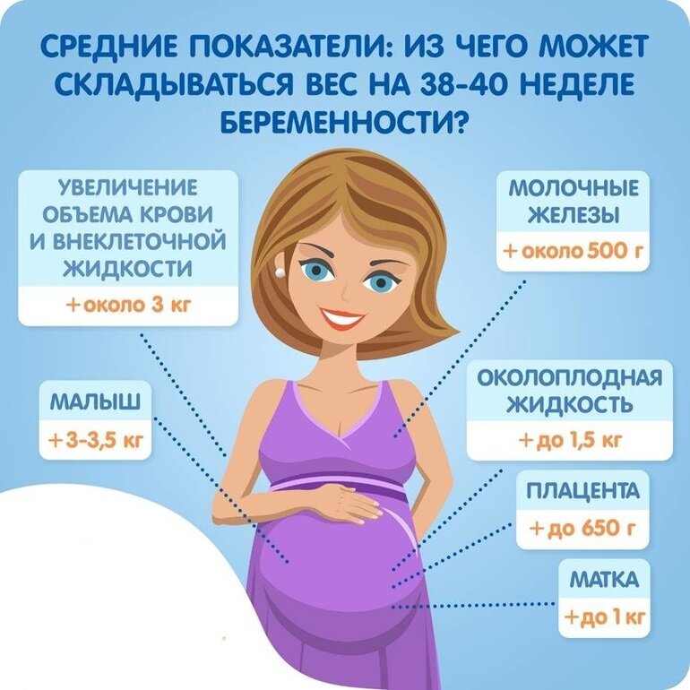 Почему не пришли пособия по беременности. Нормальная прибавка в весе при беременности. Набор веса прибеременностм. Приьавка в вече при беременности. Прибавка в вече беременных.
