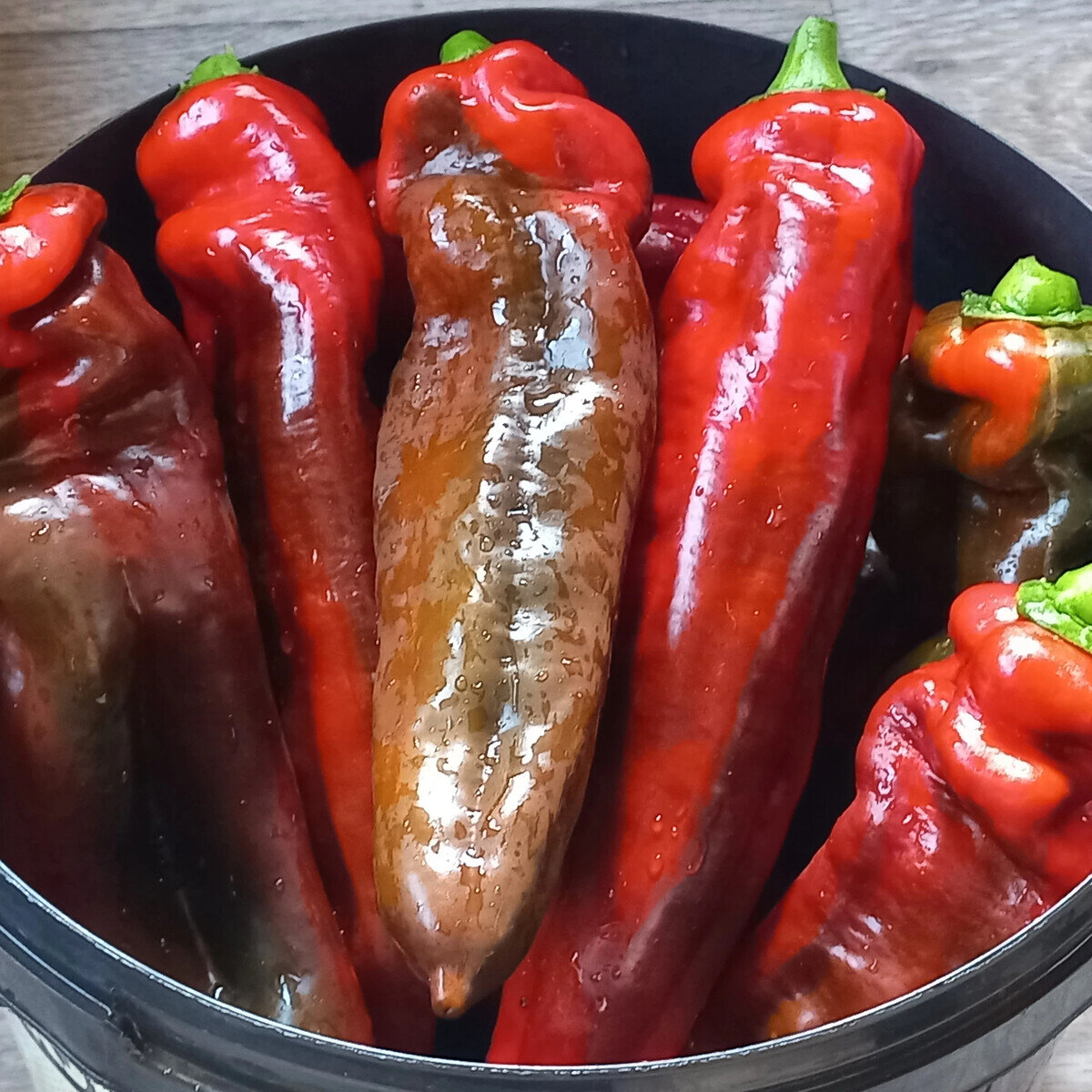 На фото сладкий перец Рамиро в 10-литровом ведре.