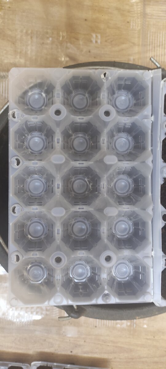 Пластиковая упаковка для яиц на 1,5 десятка.