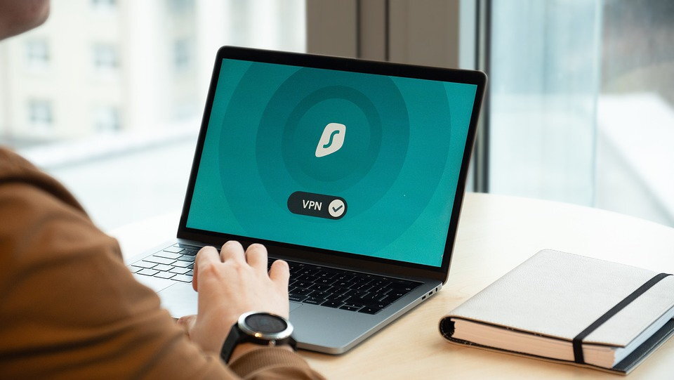 В данное время сервисы VPN растут как грибы. Фото: pixabay.com 