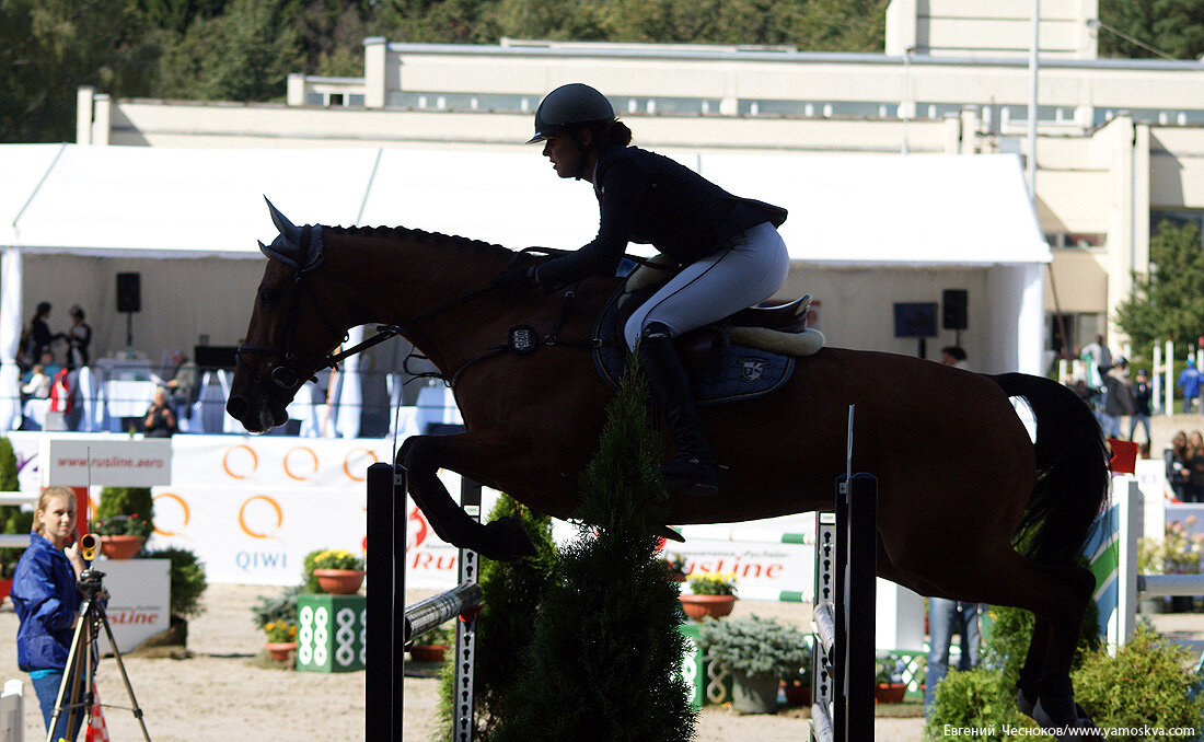 Конно спортивный комплекс битца. Битца конно-спортивный. КСК Битца Воронина. Конный стадион.