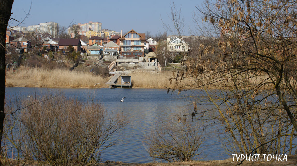 Вид на Мёртвый Донец от Кумженской рощи