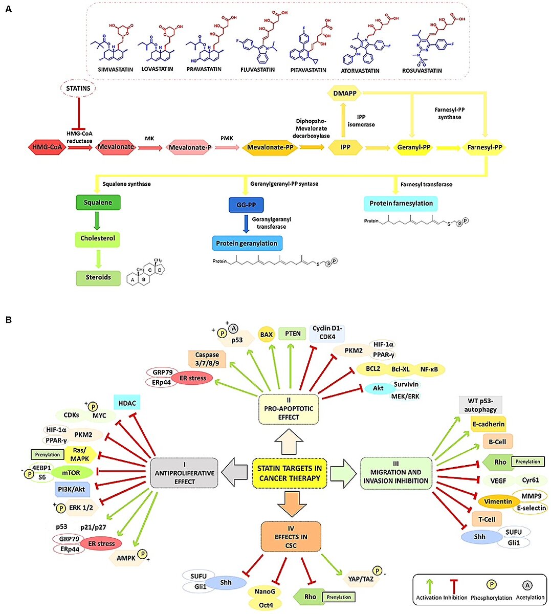 The Innovative Potential of Statins in Cancer: New Targets for New Therapies https://doi.org/10.3389/fchem.2020.00516