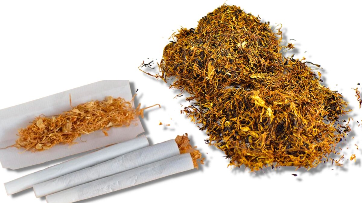 Тютюн табак сигареты. Самосад сигареты. Какие сорта табака в сигаретах. Тютюн табак сигареты. Табак чапман для самокруток.