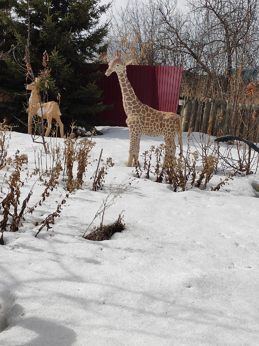 Вот зверье не под снегом.