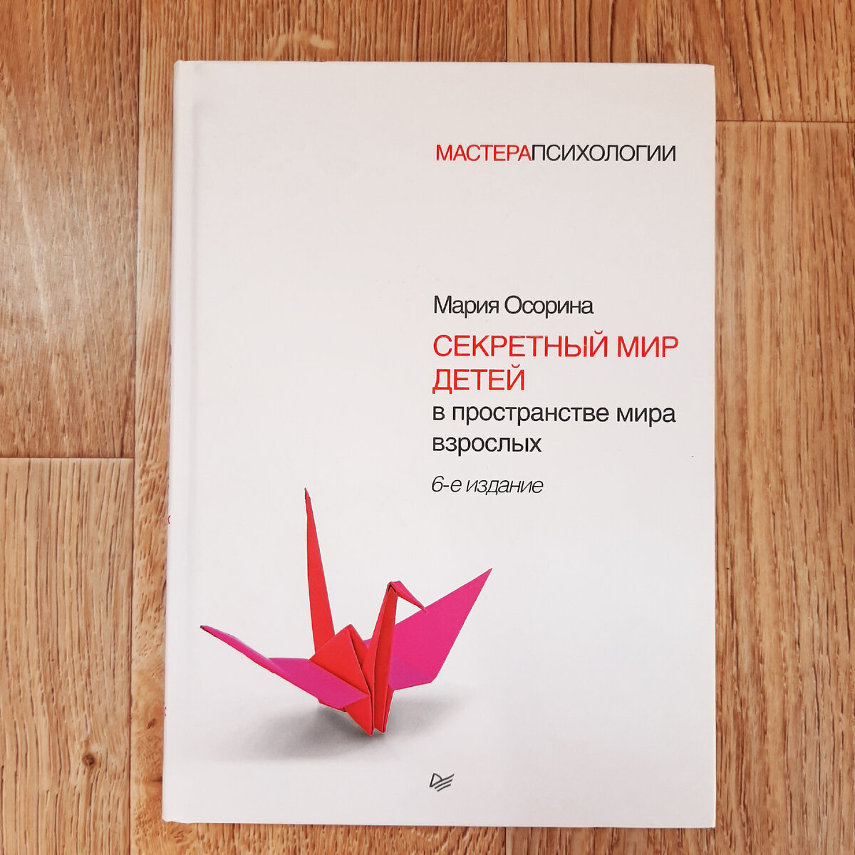  Мария Осорина "Секретный мир детей в пространстве мира взрослых"