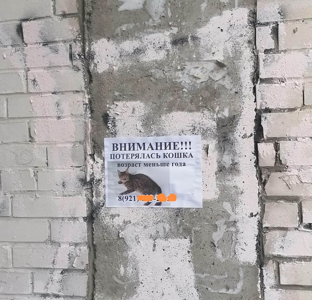 Объявление во дворе  дома.