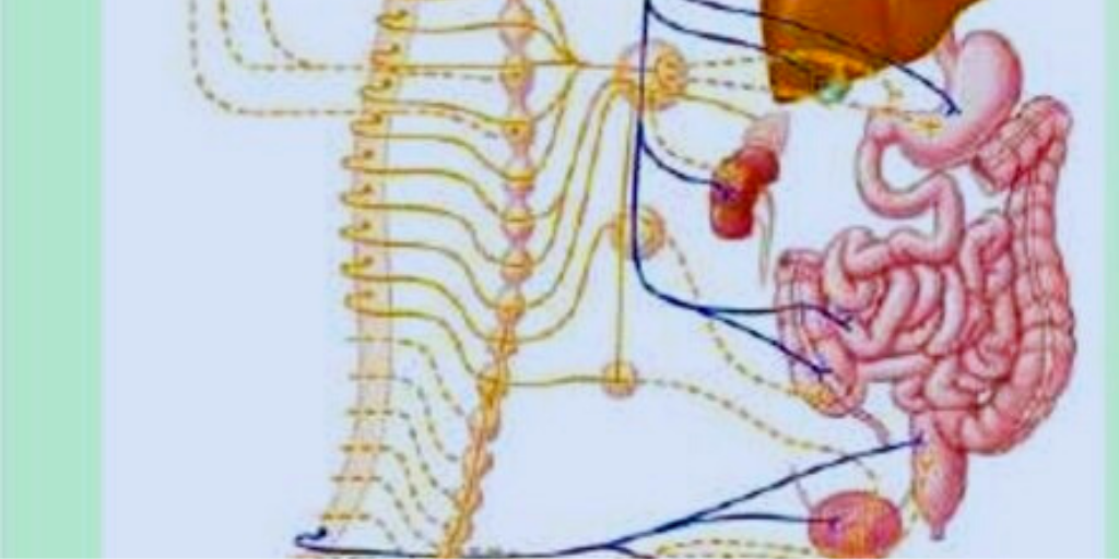 Вегетативная невропатия, что это такое и как лечить | Хворь не помеха ...
