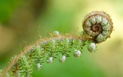 Изображение из открытого источника. Pixabay