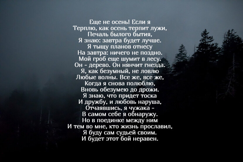 Франтишек грубин стихи. Он дерево он нянчит гнезда. Мой гроб ещё шумит в лесу он дерево он нянчит гнёзда стих. Стихотворение мой гроб ещё шумит в лесу.