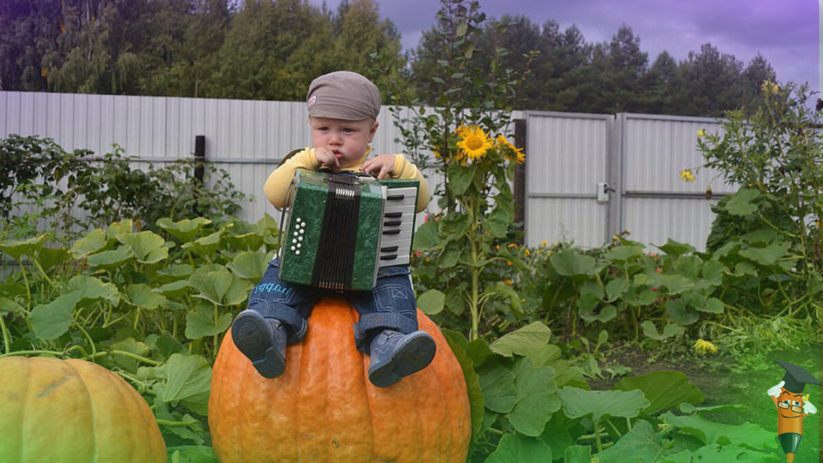 Сад и огород смешные картинки. Заряд позитива после работы в огороде 🌷🍅🍆  | Умный Фломастер | Дзен