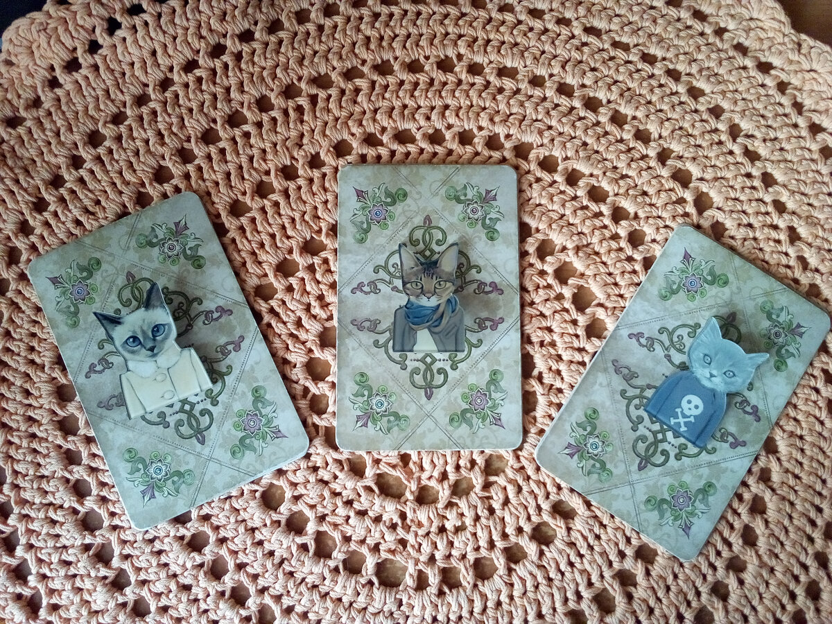 Варианты прогноза. Фото автора