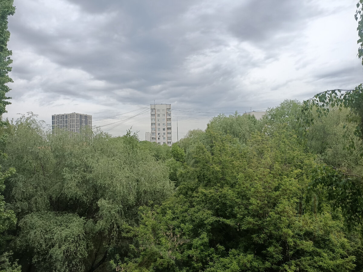 Вид из окна палаты в стационаре, где лежал сын