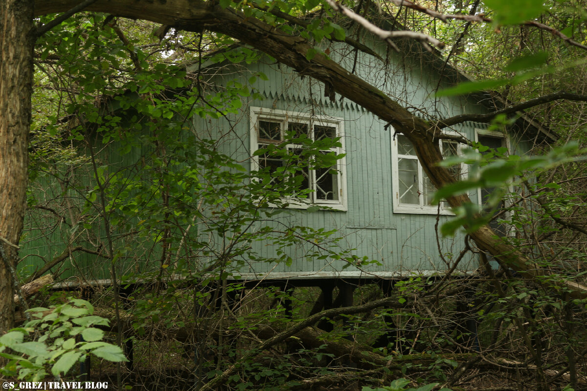 Одинокий заросший домик.
