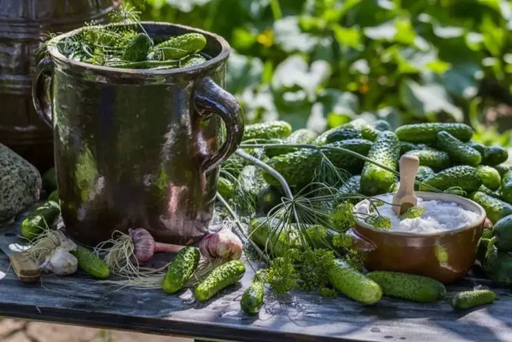 Источник картинки - www.koolinar.ru