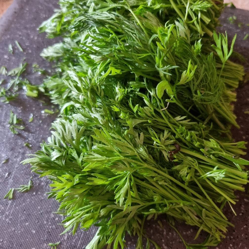 Морковная ботва сушеная. Сушка морковной ботвы. Ботва. Морковь сушёная. Сушеная ботва моркови.