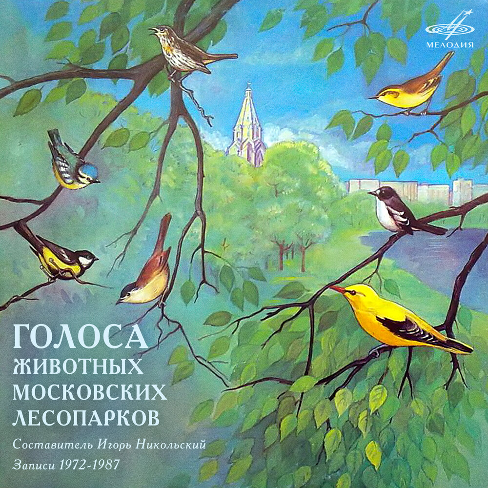 Оригинальная обложка пластинки