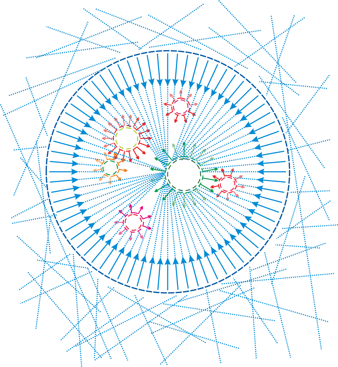 Упрощённая схема гравитационного придавливания друг к другу объектов плотной материи вещества. Иллюстрация разработана самим автором публикации.