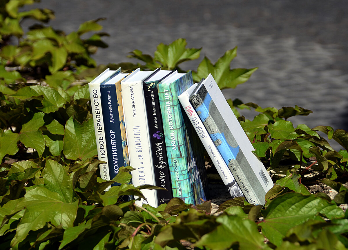 книги Издательства ПЛАНЖ 2022