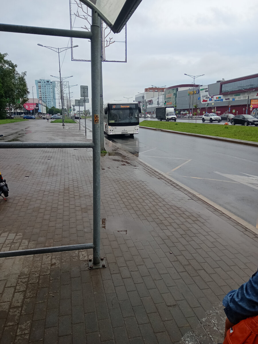 ждем автобус