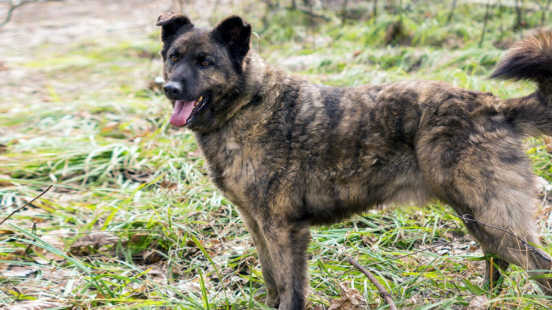 источник фото: prohvost.club