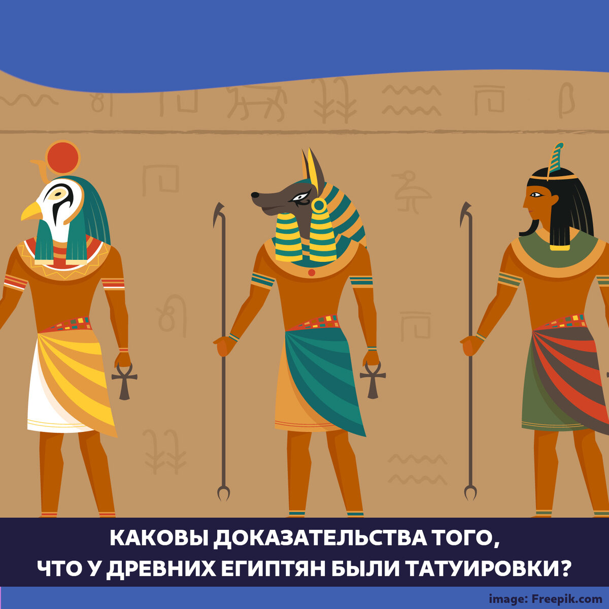 Каково главное занятие египта