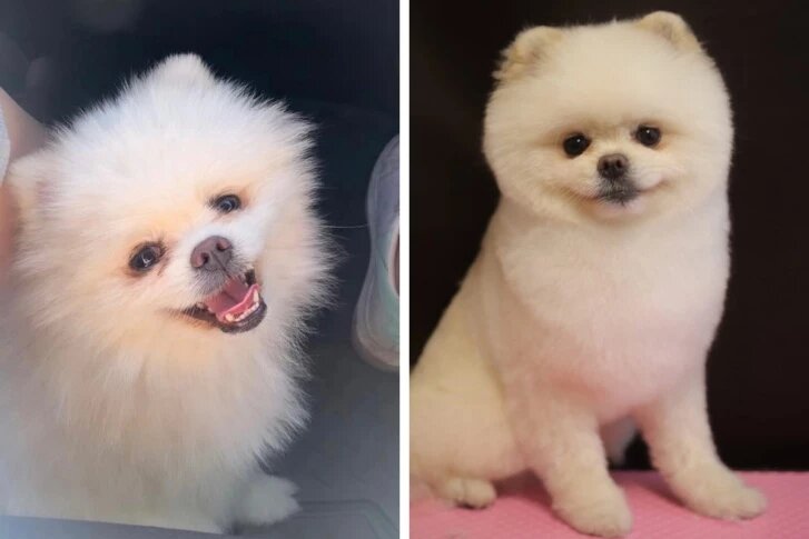 Фото с сайта ngs.ru