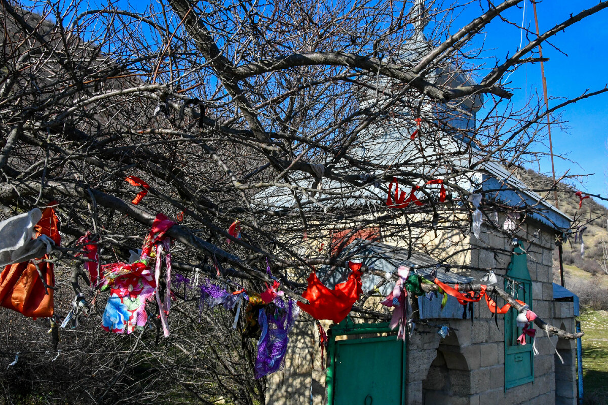 Фото: Асиф Масимов 