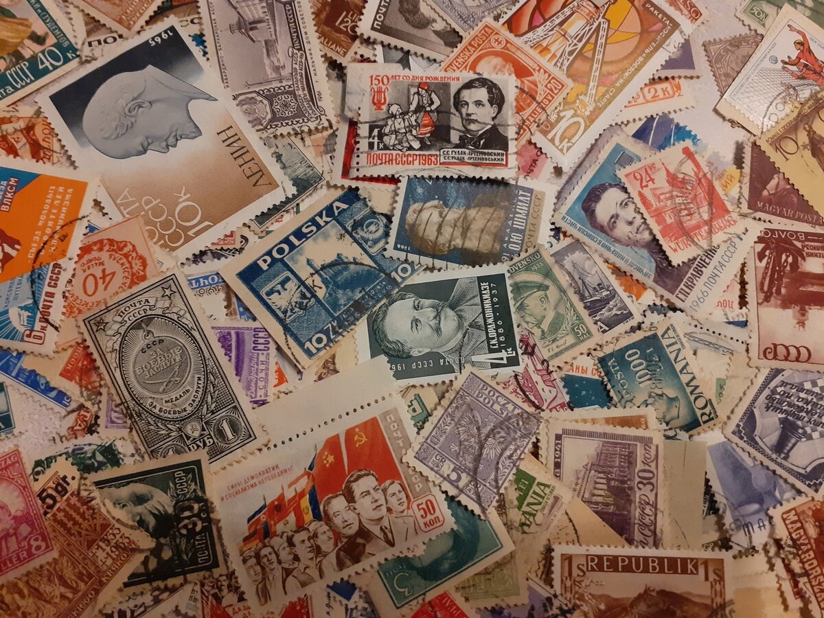 Все фото в статье мои. 