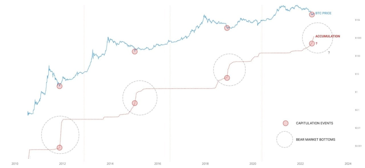 Колин Ву: есть активное аккумулирование BTC крупными кошельками и график курса BTC