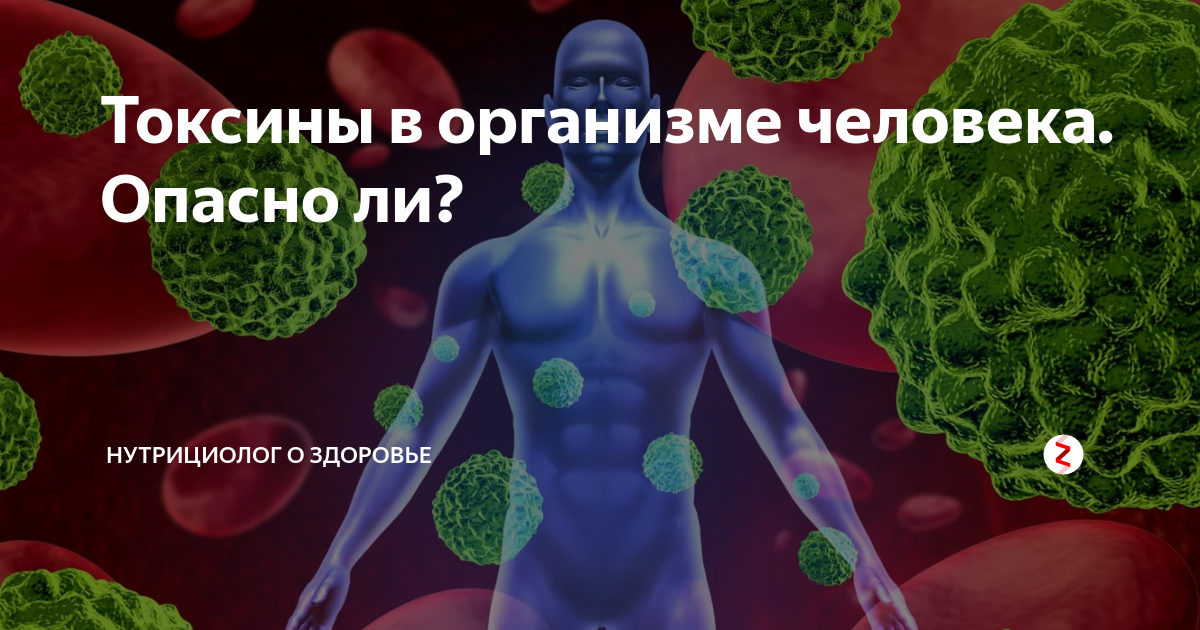 Сильнейшие токсины. Что такое токсины в организме человека. Токсины в теле человека. Токсины в органах организма человека. Токсины и человек.