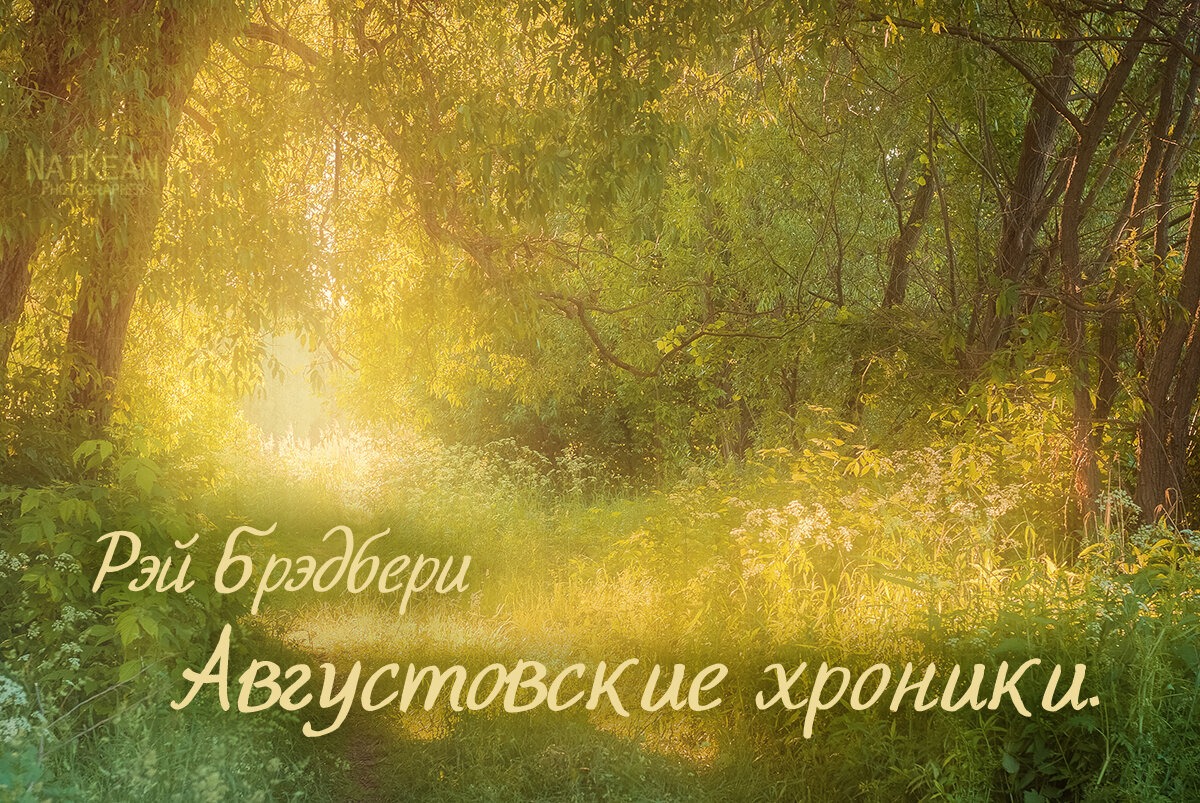 Автор фото Nat Kean