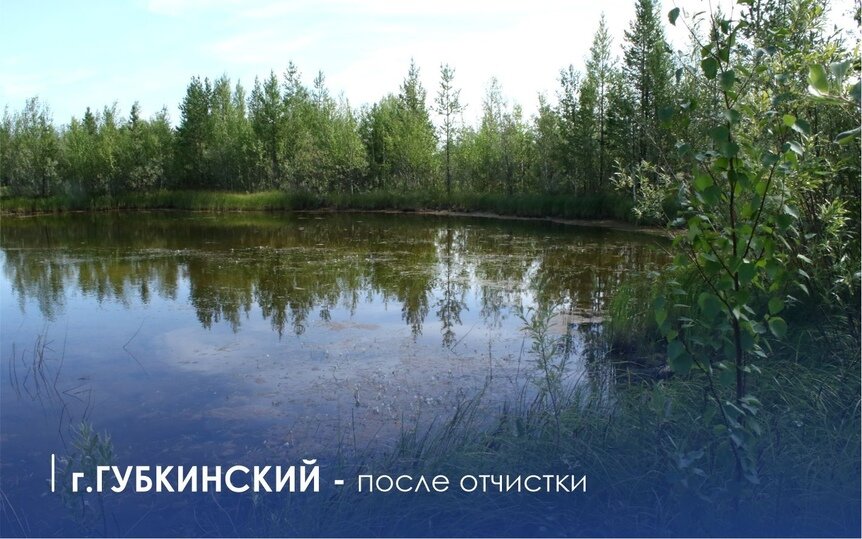 ФОТО: ДЕПАРТАМЕНТ ПРИРОДНЫХ РЕСУРСОВ И ЭКОЛОГИИ ЯНАО