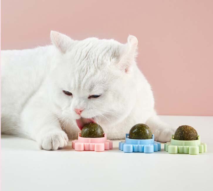 фото aliexpress.ru