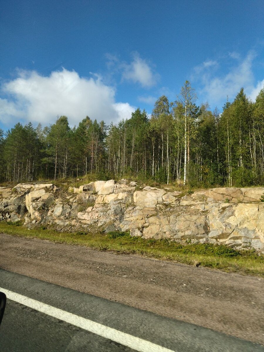 КАРЕЛЬСКИЕ СКАЛЫ И ЛЕСА. Фото автора из архива. Кира Спиркина